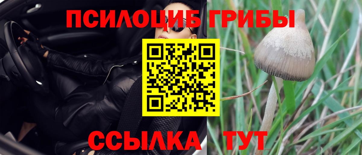 Галлюциногенные грибы мицелий Симферополь