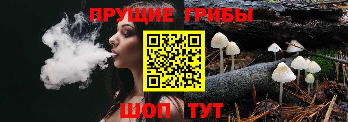 Симферополь  Галлюциногенные грибы Cubensis  Вход с VPN 